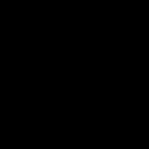 Meet your Posher, Angelo